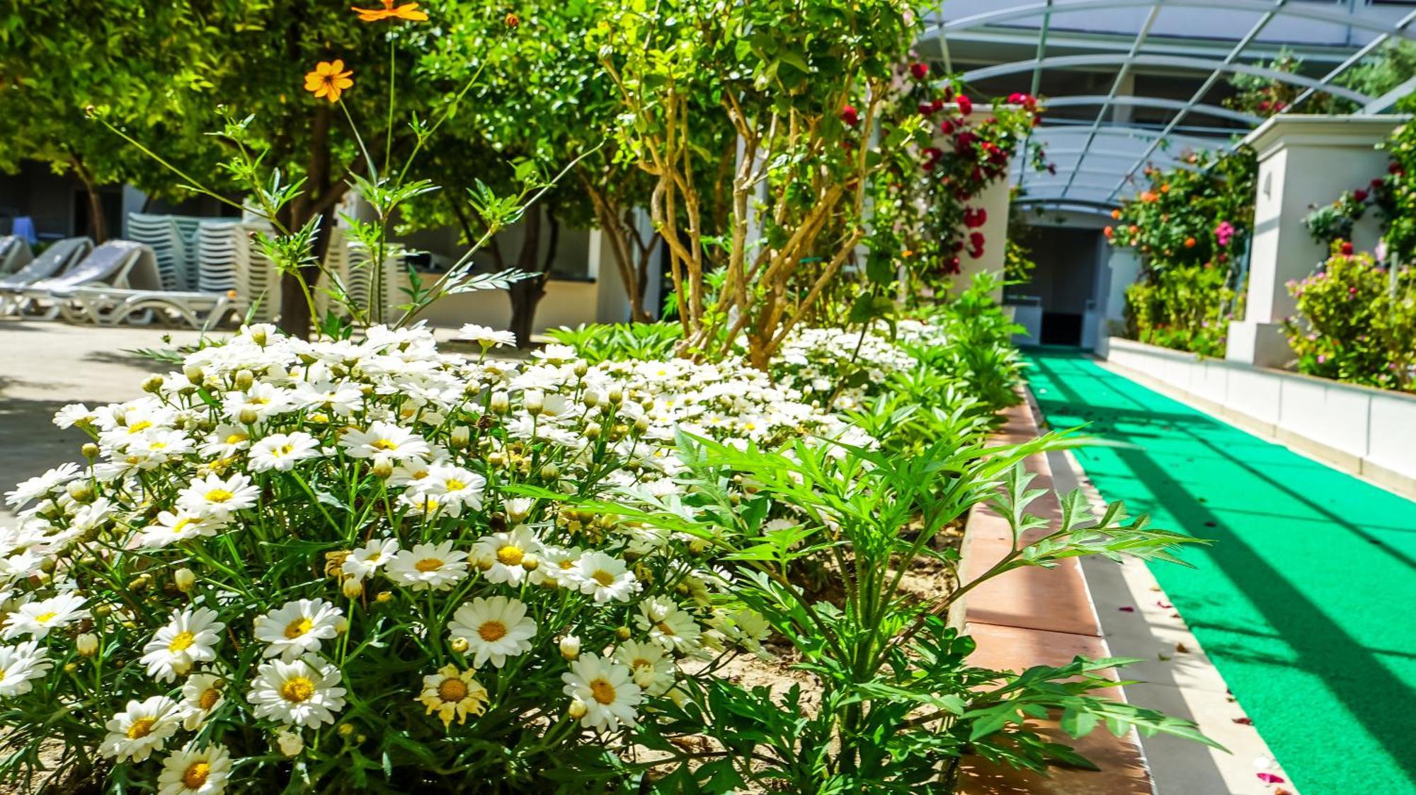 Aparthotel Catty Cats Garden